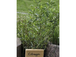 Appartamento per vacanze Goldegg Registrazione all'aperto 6