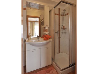 Appartamento per vacanze Goldegg Caratteristiche 13