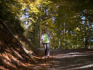 Appartamento per vacanze Goldegg Ambiente 19