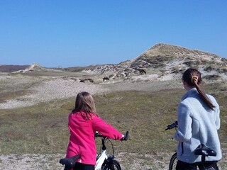 Casa per le vacanze Callantsoog Ambiente 28