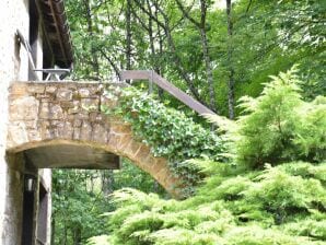 Landelijk vakantiehuis midden in de Ardense bossen met tuin - Hé: D - image1