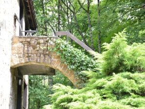 Maison de vacances Gîte au coeur des bois ardennais avec jardin - Hé : D - image1