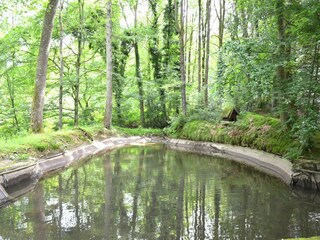 Vakantiehuisje Heyd Buitenaudio-opname 8