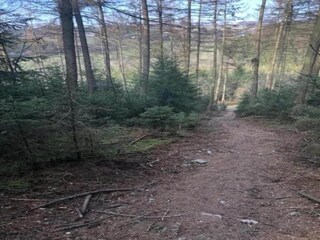 Holiday cottage Heyd Environment 31