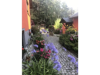 Holiday house Gohrisch Environment 11