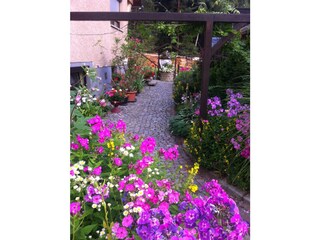 Holiday house Gohrisch Environment 8