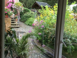 Holiday house Gohrisch Environment 10