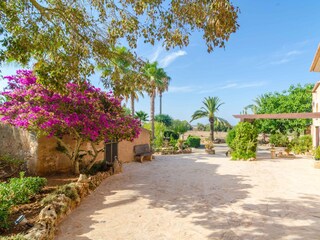 Tenuta Santanyi Registrazione all'aperto 8