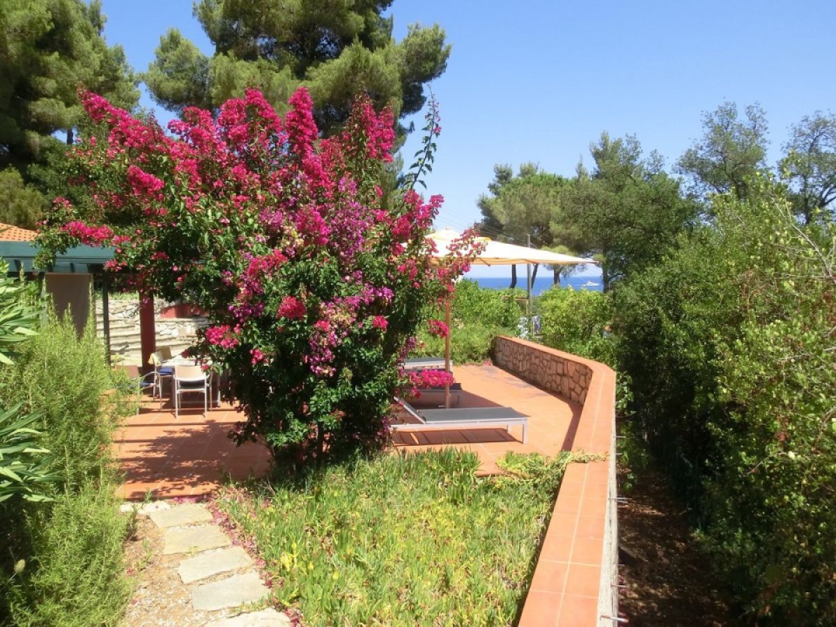 Casa Mola | Meerblick vom blumigen Garten