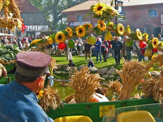 Der Rügenhof nahe Kap Arkona