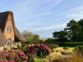 Brombeerhof mit Blick zum Watt