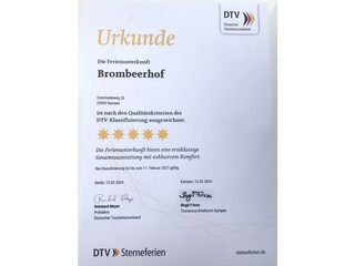 Urkunde 5* DTV