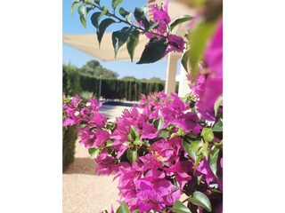 Villa Cala Murada Registrazione all'aperto 16