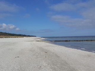 Holiday house Zingst Environment 14