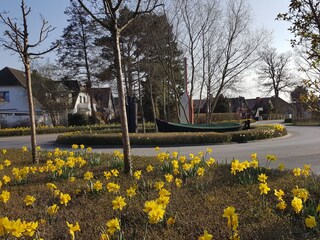 Holiday house Zingst Environment 16