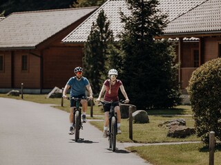 Chalet Maishofen Omgeving 22