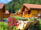 Chalet Maishofen Registrazione all'aperto 1