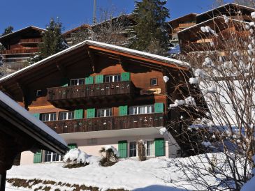 Holiday apartment Müller