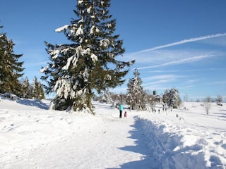 Apartment Bestwig Umgebung 33