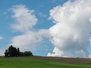 Vakantiehuis Colognole Omgeving 29