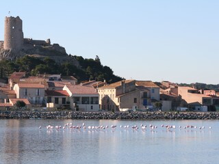 Casa per le vacanze Gruissan Ambiente 15
