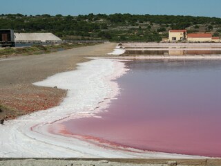 Casa per le vacanze Gruissan Ambiente 22