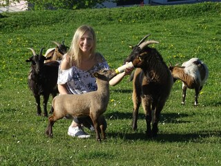 Appartamento per vacanze Plütscheid Ambiente 14
