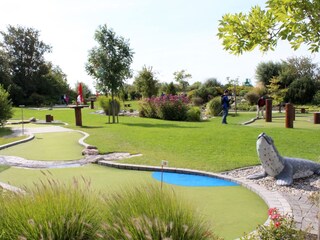 Mini Golf