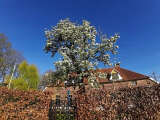 Vakantiehuis Eibergen Buitenaudio-opname 3