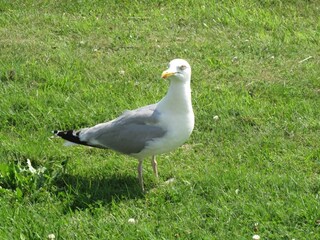 Casa per le vacanze Julianadorp Ambiente 23