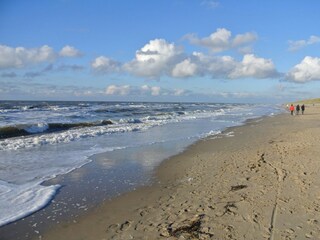 Vakantiehuis Julianadorp Omgeving 25