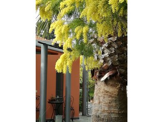 Casa per le vacanze Lecchiore Ambiente 28