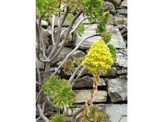 Casa per le vacanze Lecchiore Ambiente 29