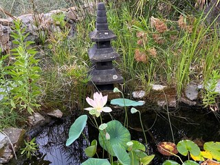 Holiday house Lecchiore Outdoor Recording 14