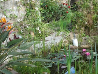 der kleine Teich