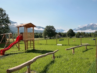 Childrens playground and dog areas