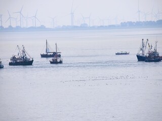 Kutterregatta