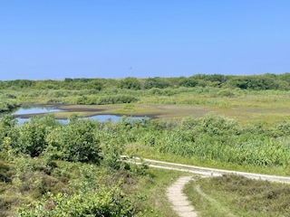 Bungalow Sint Maartenszee Umgebung 37