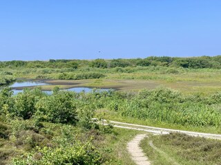 Vakantiehuis Sint Maartenszee Omgeving 53