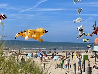 Bungalow Sint Maartenszee Ambiente 31