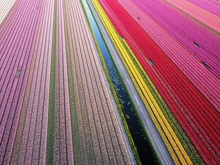 Vakantiehuis Sint Maartenszee Omgeving 50