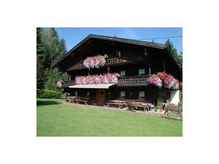 Capanna alpina Wörgl Registrazione all'aperto 2