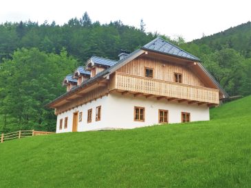 Ferienwohnung Infanglalm "Traunsee"