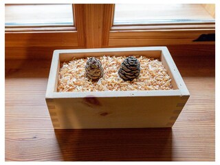 Appartamento per vacanze Altmünster Caratteristiche 39