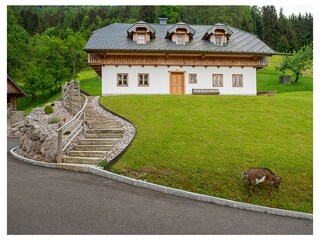 Vakantieappartement Altmünster Buitenaudio-opname 3