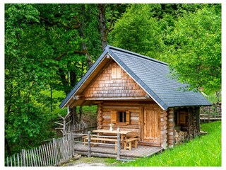 Appartamento per vacanze Altmünster Registrazione all'aperto 9