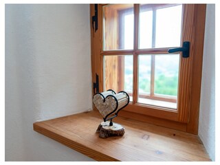 Appartamento per vacanze Altmünster Caratteristiche 40