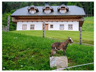 Appartamento per vacanze Altmünster Registrazione all'aperto 8