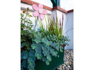 Vakantieappartement Mörbisch am See Buitenaudio-opname 5