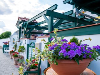 Vakantieappartement Mörbisch am See Buitenaudio-opname 6